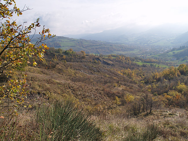 Oasi naturalistica del Carmine